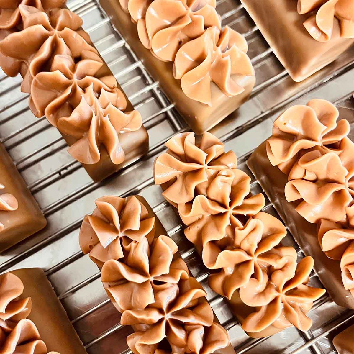 Savon buchette Spezia